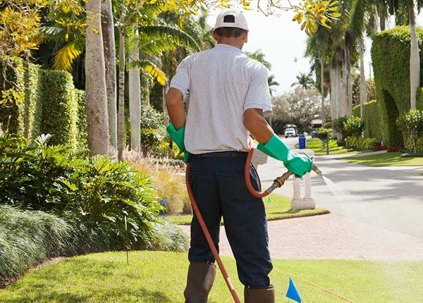 About Ocean View HI Pest Control